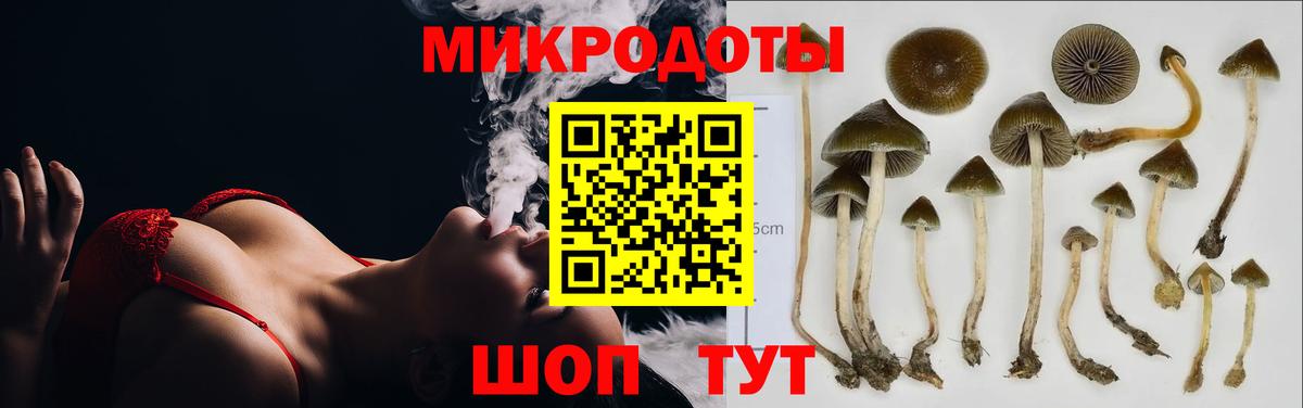 Псилоцибиновые грибы ЛСД  Вход с VPN  Звенигород 